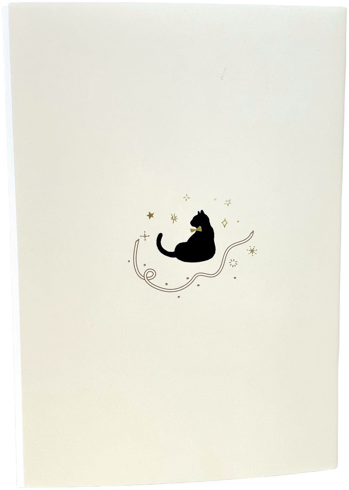 Amifa B6 2026 Monthly Diary - Cat with Ribbon