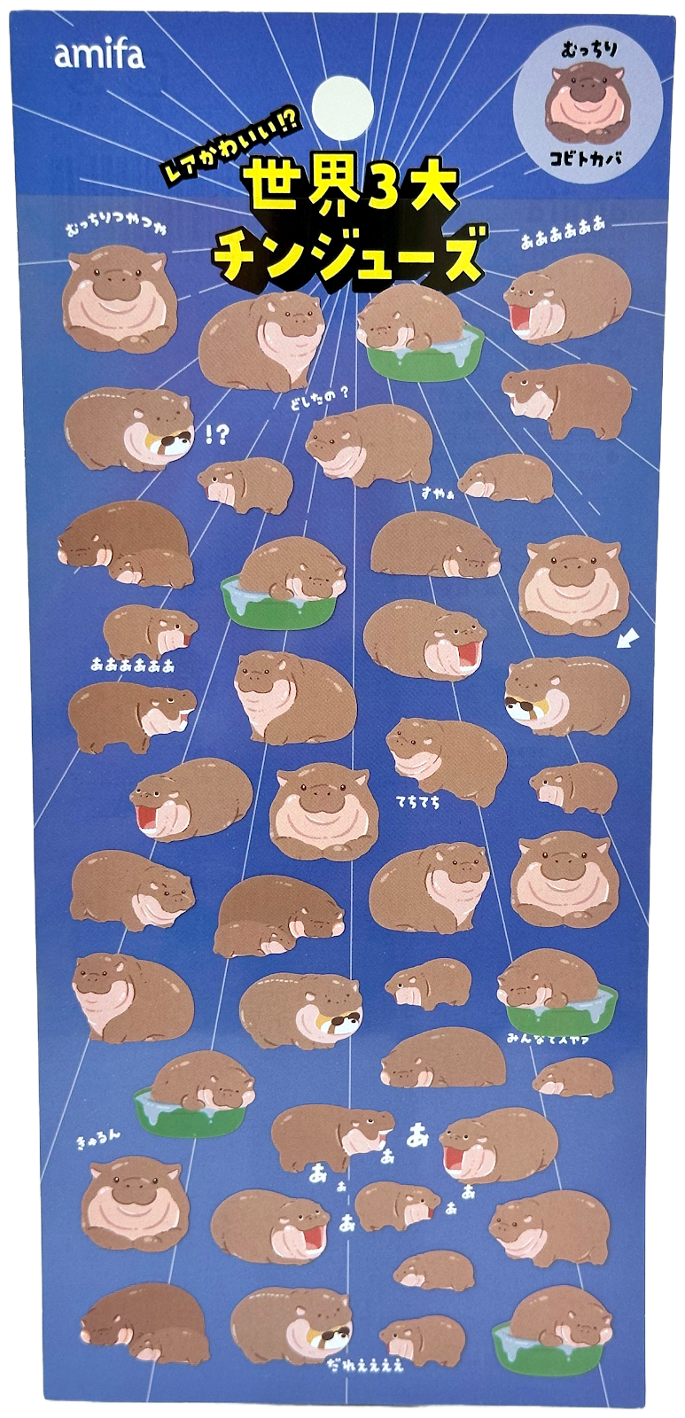 Hippo