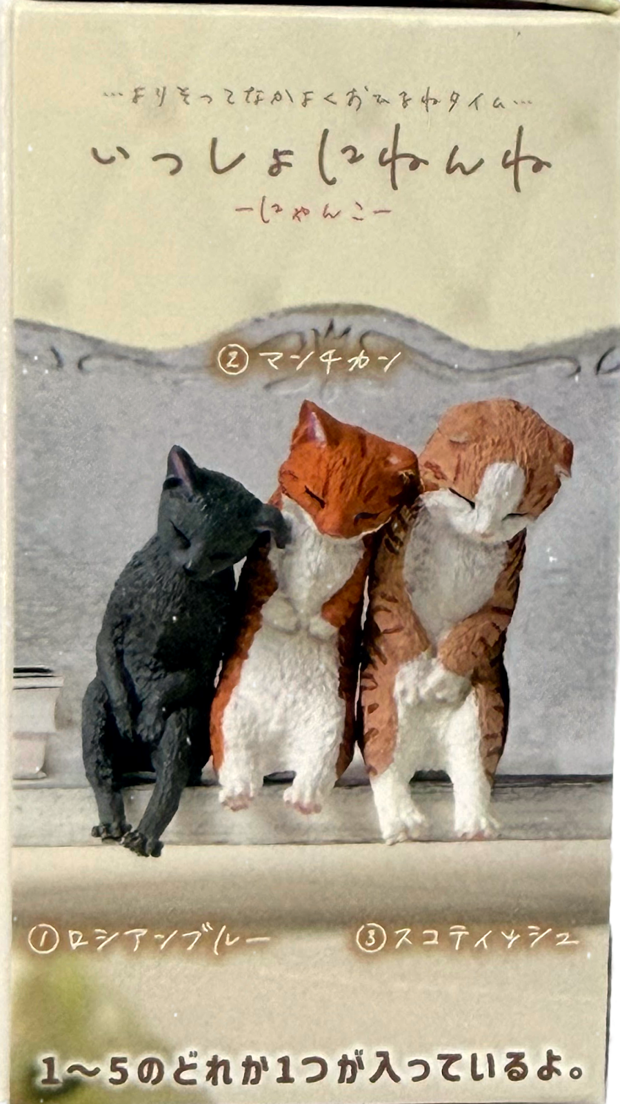 Gacha Blind Mystery Box - Sleeping Neko Cat Collectibles