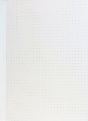 Tomoe River A5 Dot Grid Notebook