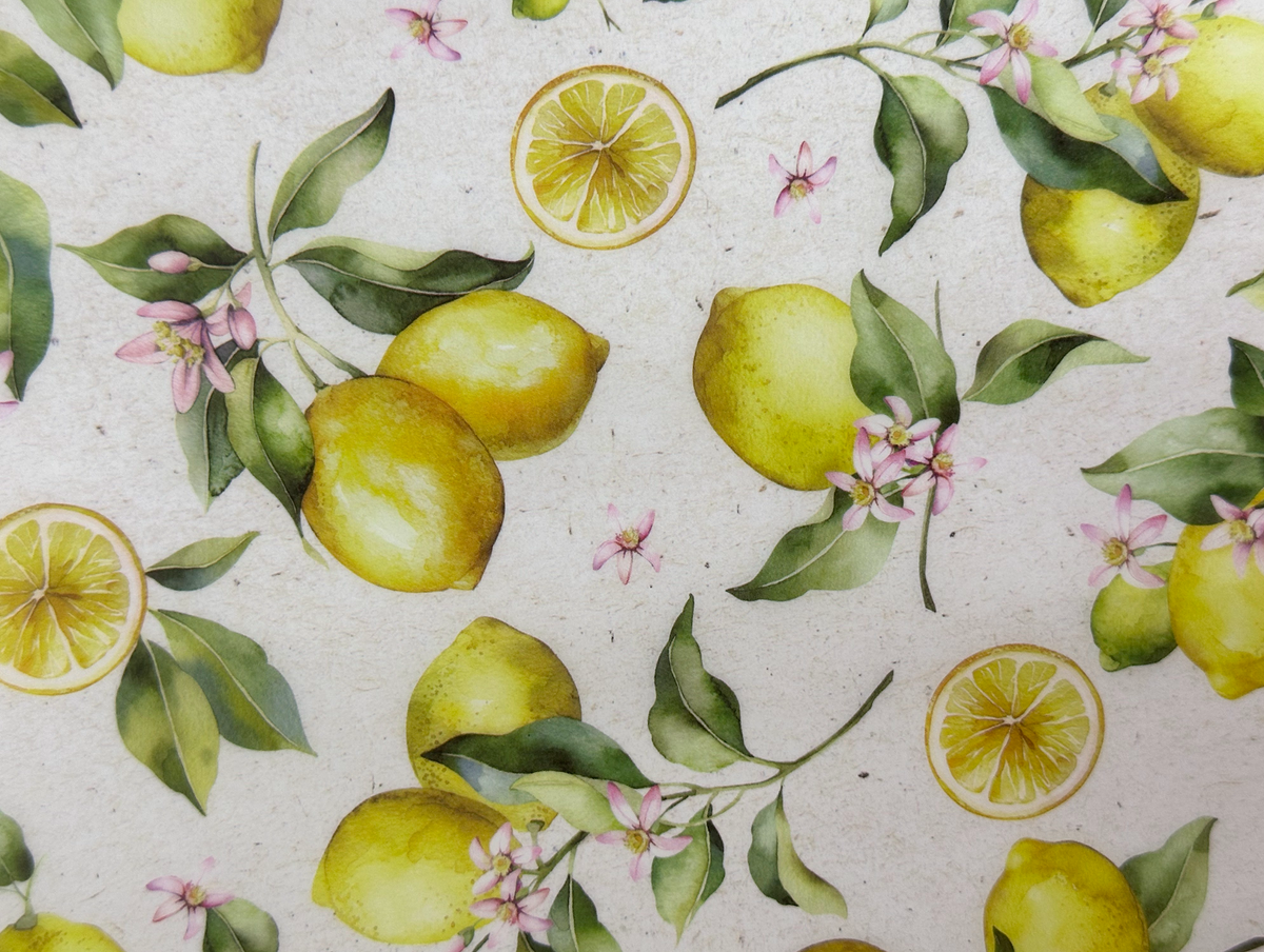 Amifa Decorative Wax Paper for Food with Lemon & Olive (13)
