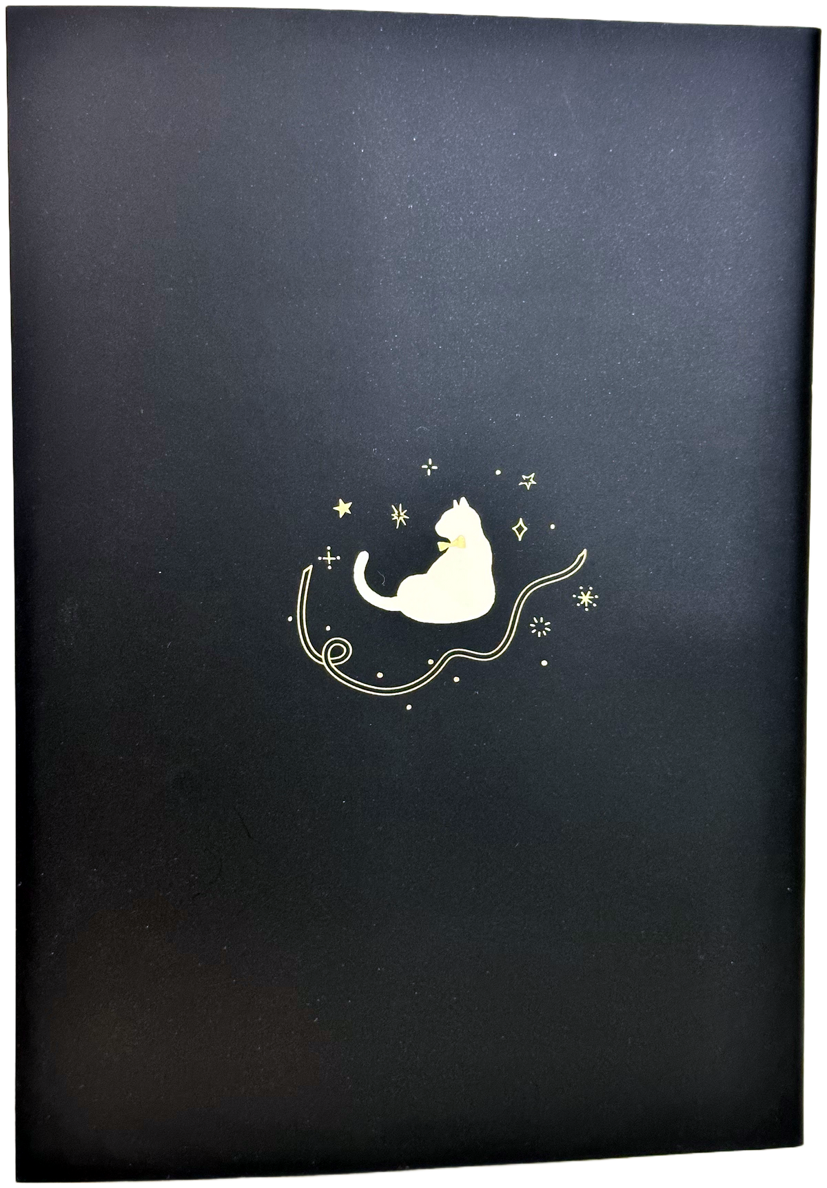 Amifa B6 2026 Monthly Diary - Cat with Ribbon