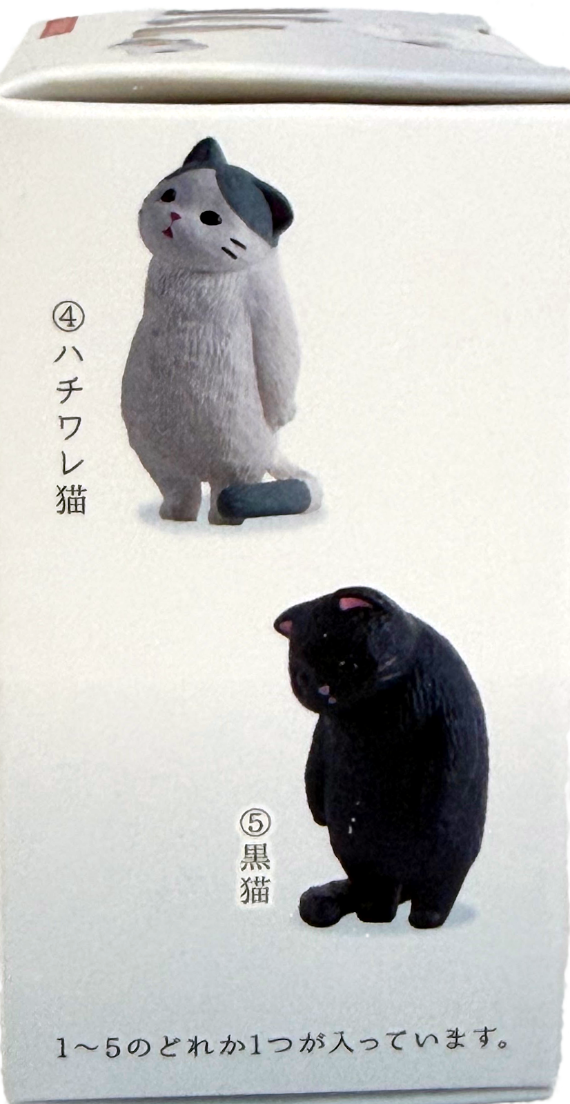 Gacha Blind Mystery Box - Neko Cat Collectibles Set 1