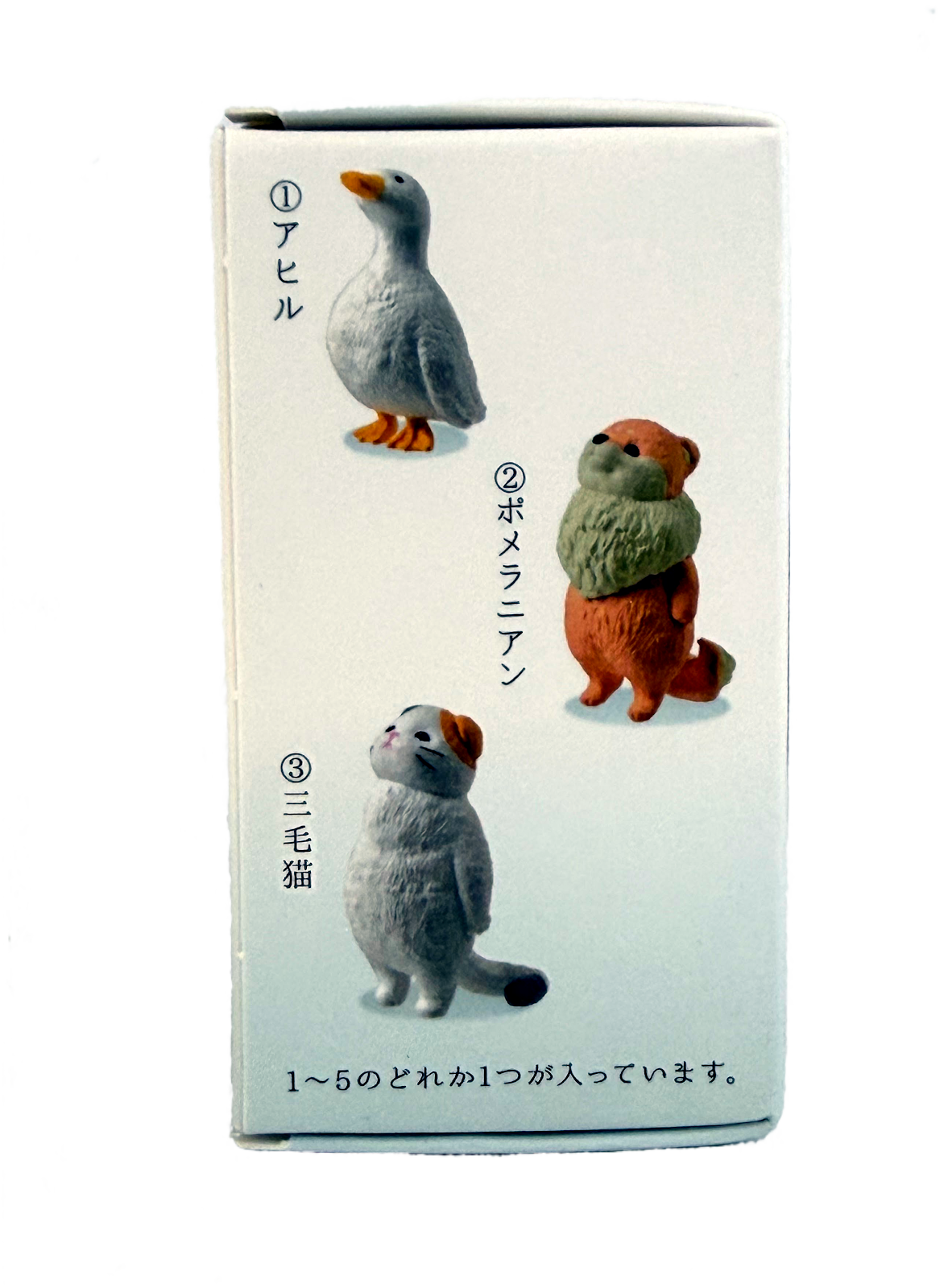 Gacha Blind Mystery Box - Mixed Animal Collectibles