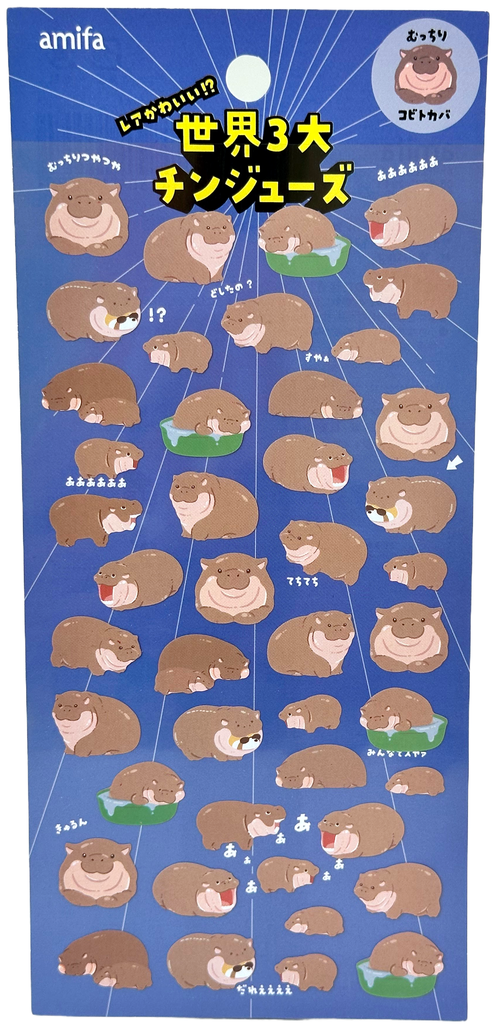 Hippo