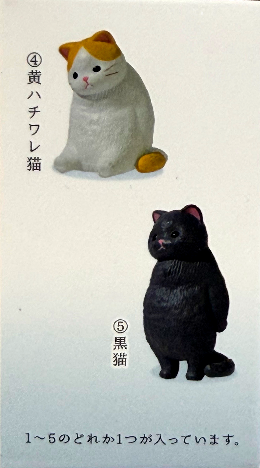 Gacha Blind Mystery Box - Neko Cat Collectibles Set 3