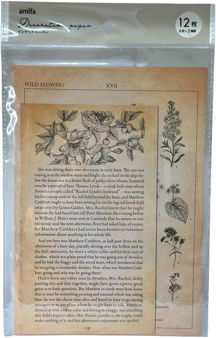 Amifa Decorative Paper Set - Vintage Literary Themes