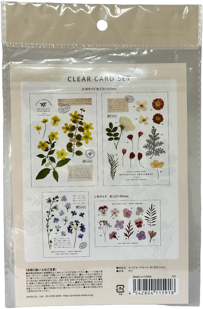 Amifa Clear Card Set — Botanical
