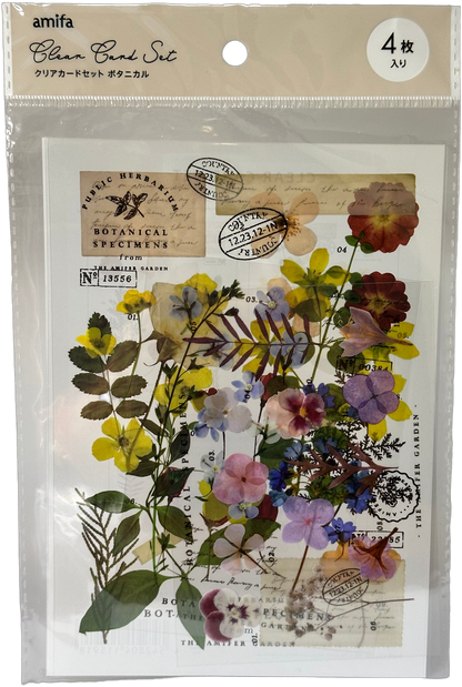 Amifa Clear Card Set — Botanical