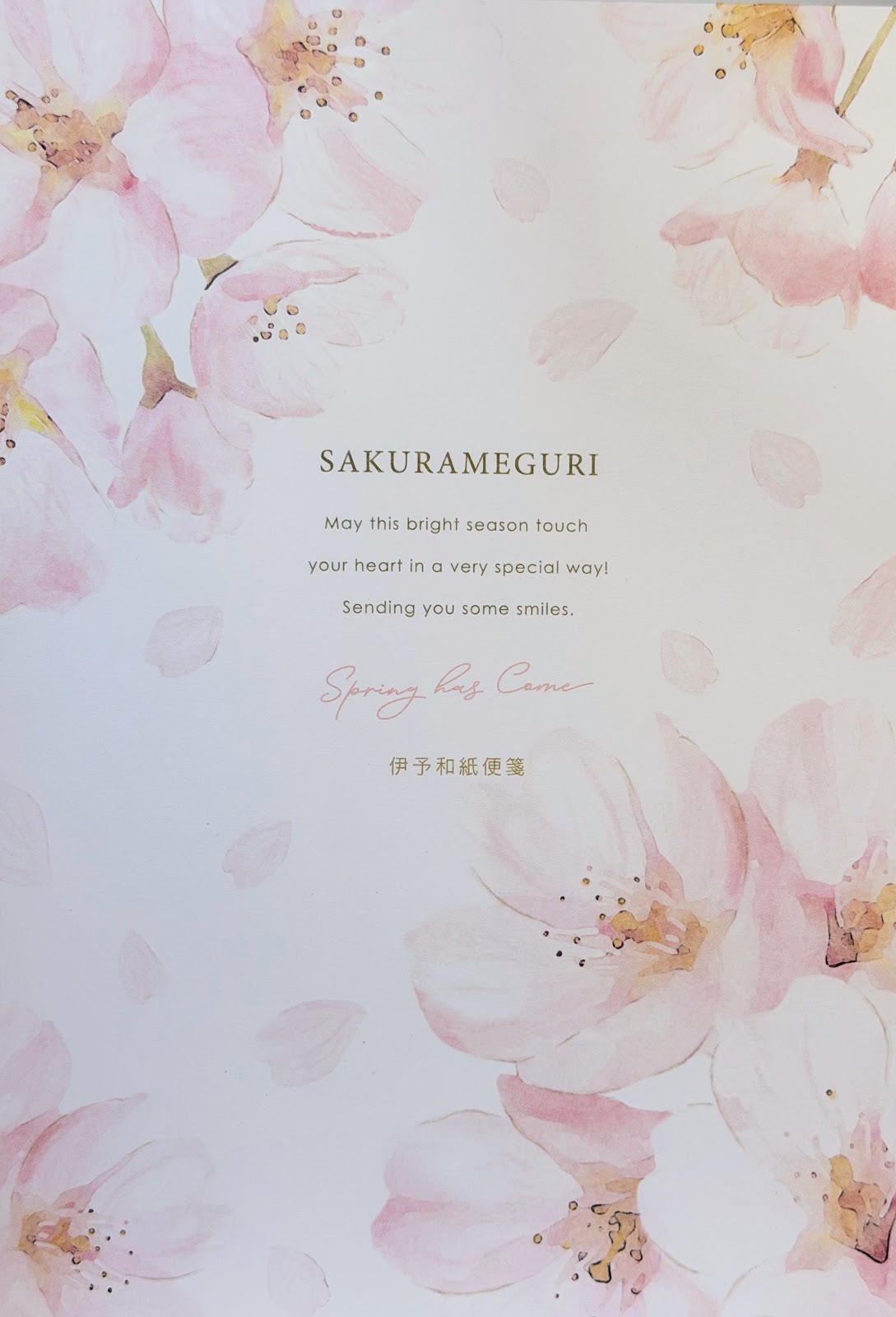 Kyowa Sakurameguri Iyo Washi Letter Paper (15)
