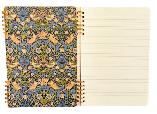 Amifa Masterpiece Double Spiral A5 Notebook
