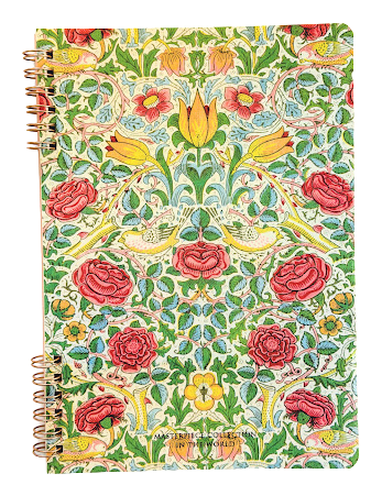 Amifa Masterpiece Double Spiral A5 Notebook