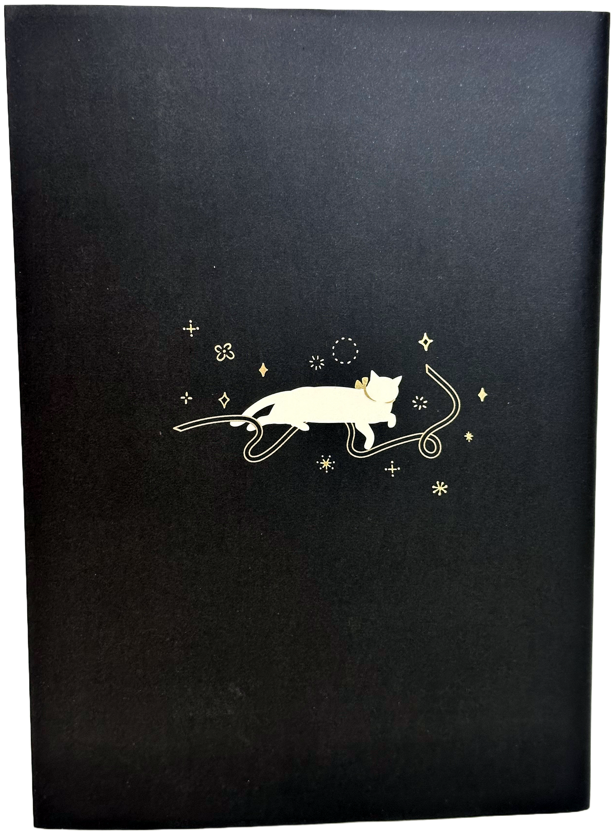 Amifa A6 2026 Monthly Diary - Cat with Ribbon
