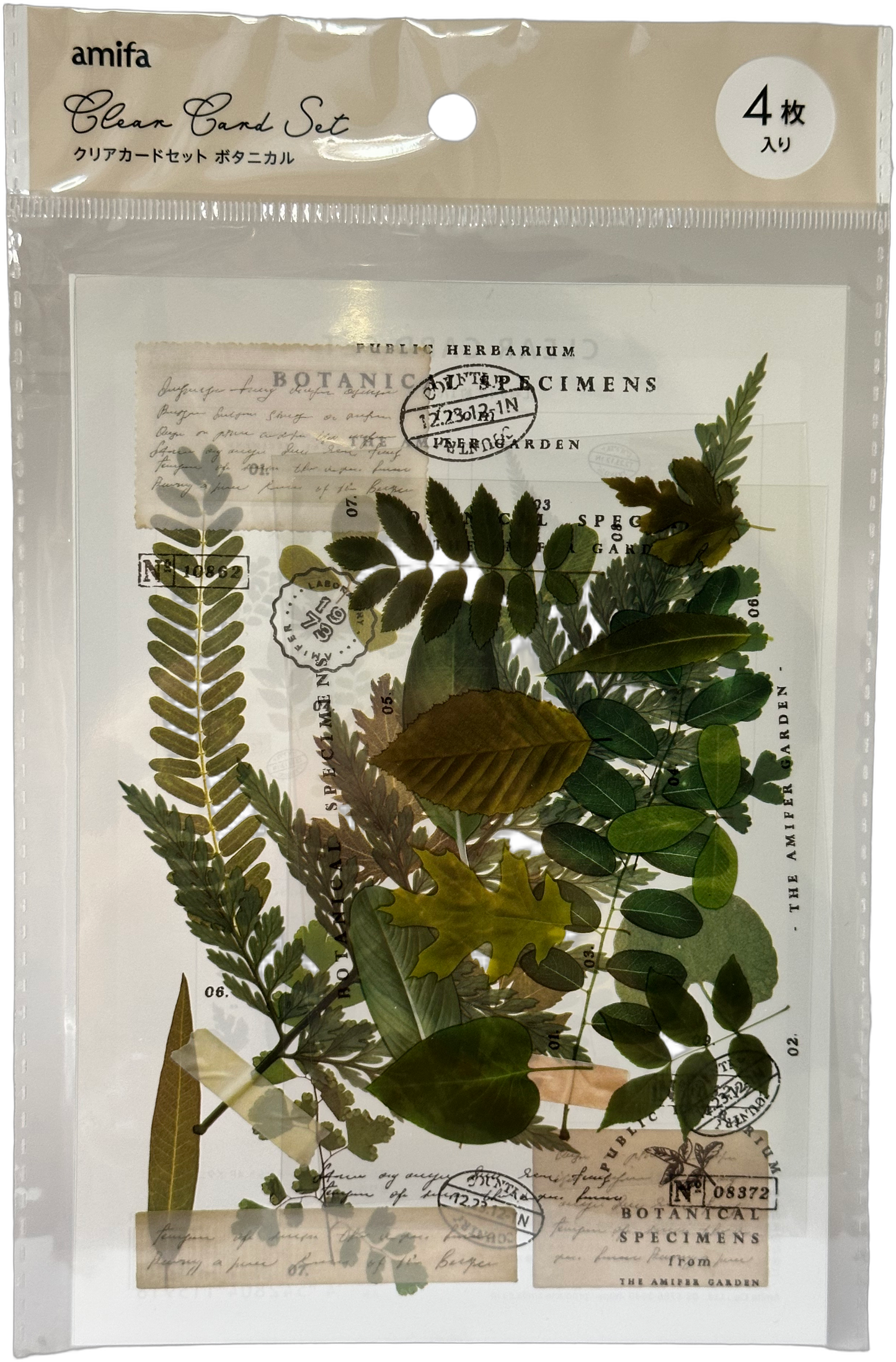 Amifa Clear Card Set — Botanical