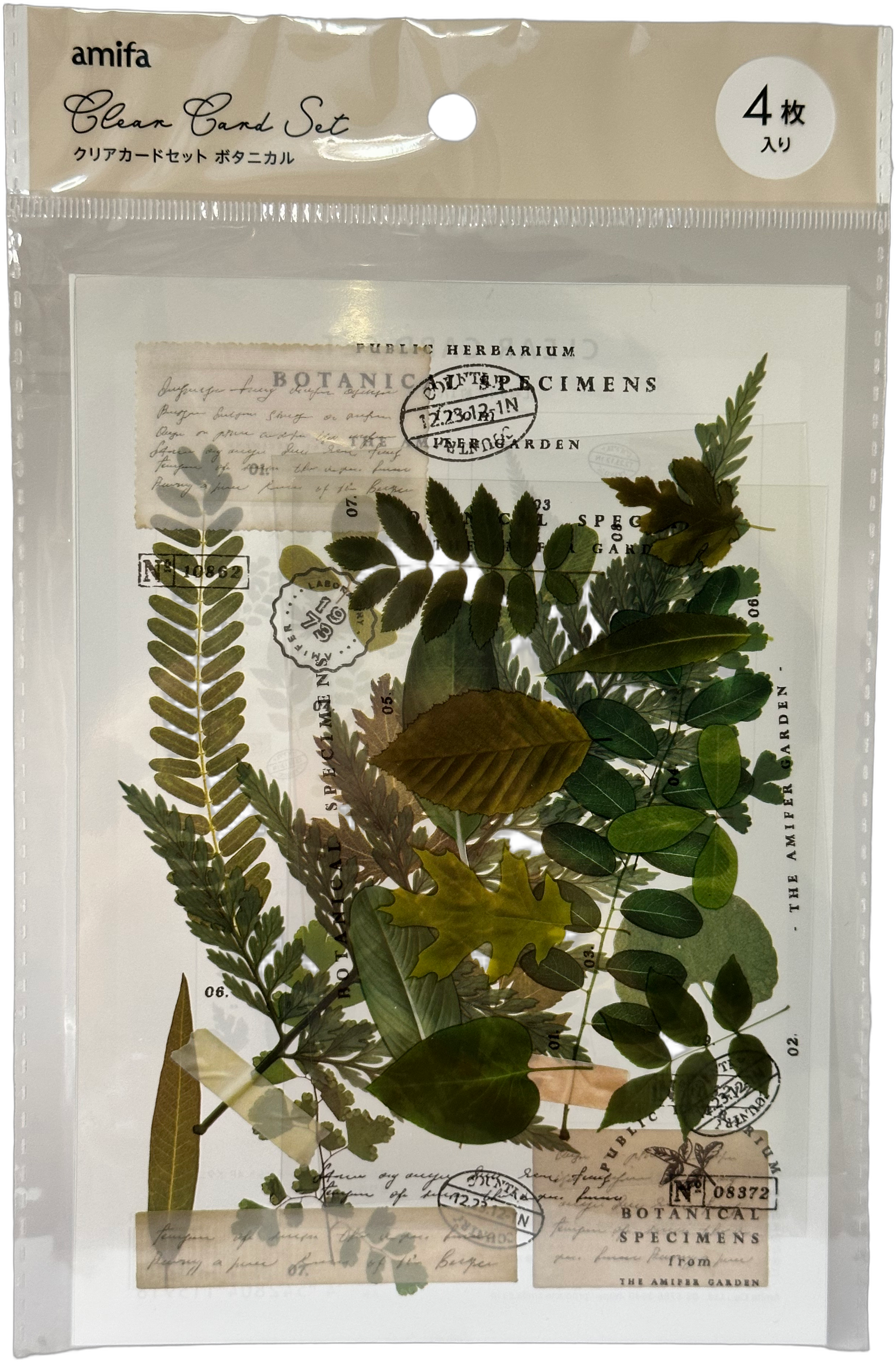Amifa Botanical Clear Card Set Leaf