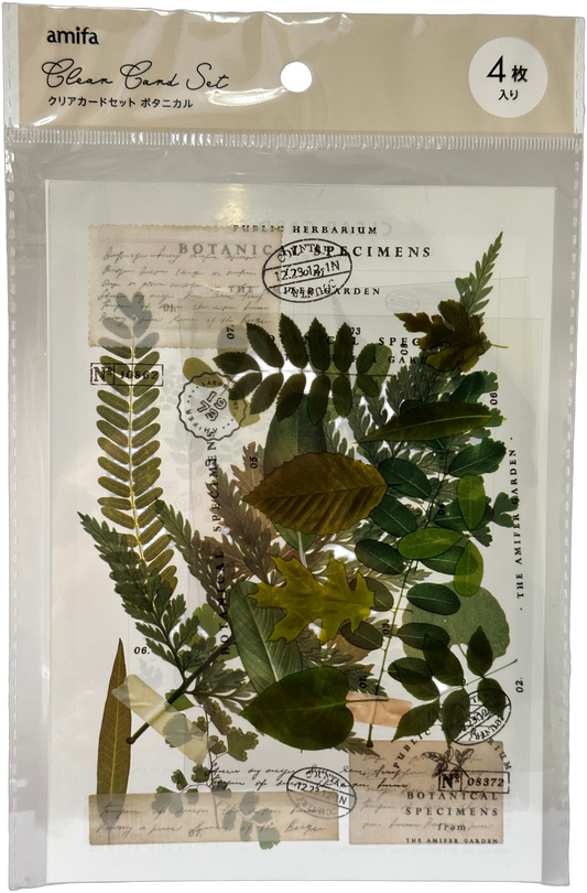 Amifa Botanical Clear Card Set Leaf