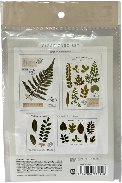 Amifa Clear Card Set — Botanical